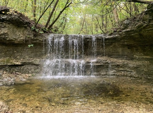 A serene waterfall cascades over rocky ledges into a clear pool, surrounded by lush green trees in a tranquil forest setting.