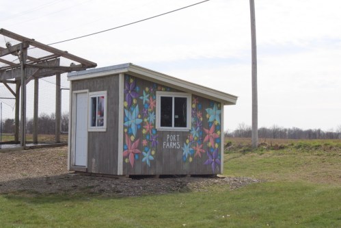 A small wooden shed with colorful flower murals, labeled "Port Farms," set in an open field under a cloudy sky.