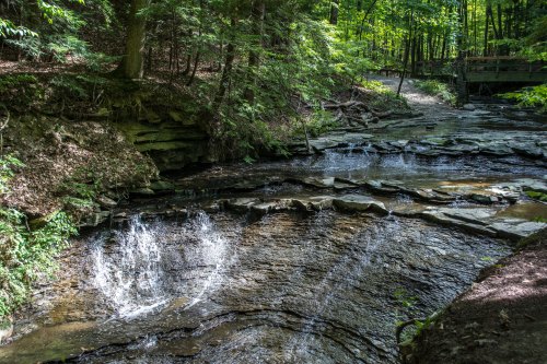 A serene forest scene featuring a flowing stream and rocky banks, surrounded by lush green trees.