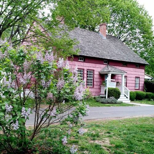A pink house with a sloped roof surrounded by green trees and blooming lilac bushes in a peaceful setting.