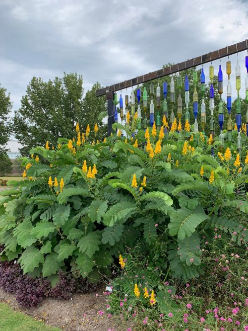 A lush garden with vibrant yellow flowers and a backdrop of colorful glass bottles hanging from a structure.
