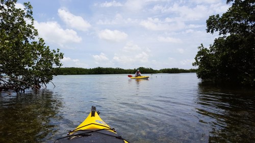 A view from a kayak on calm water, with another kayaker in the distance surrounded by mangroves and a blue sky.