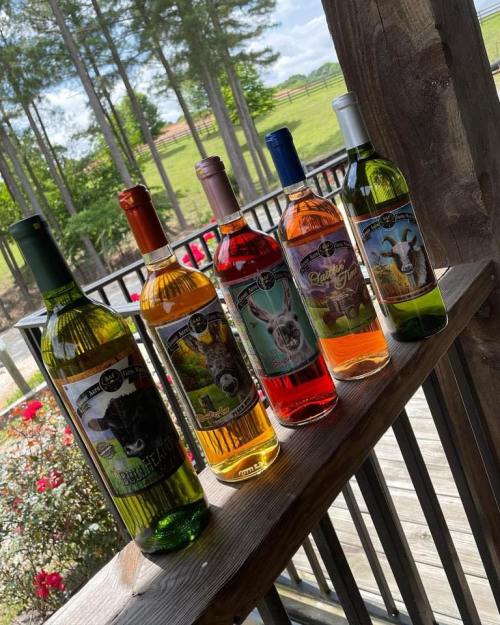 Five colorful wine bottles with animal-themed labels, displayed on a wooden shelf against a scenic outdoor backdrop.