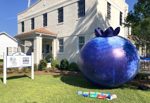 A large inflatable blueberry stands in front of a white building with a sign, surrounded by green grass and trees.