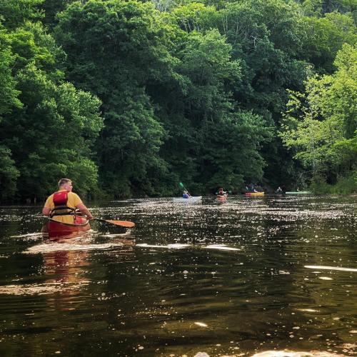 A person kayaking on a calm river surrounded by lush green trees and other kayakers in the distance.