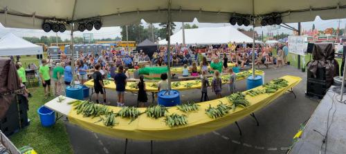 A lively outdoor event with a crowd gathered around tables displaying corn, under a large tent.