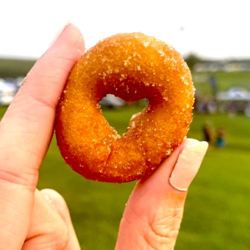 A hand holding a golden-brown donut with a hole in the center, sprinkled with sugar against a grassy background.