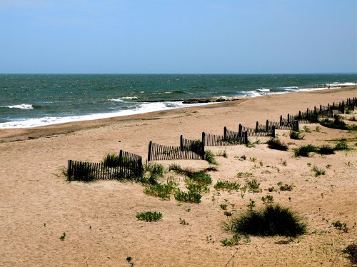 A sandy beach with gentle waves, scattered grass, and a wooden fence along the shore under a clear blue sky.