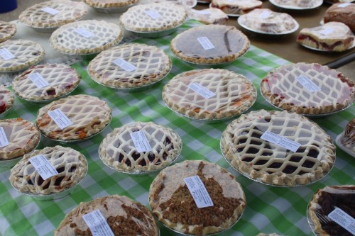 A variety of pies with lattice crusts displayed on a green checkered tablecloth.