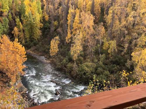 A scenic view of a river winding through a forest of vibrant autumn trees in shades of yellow and orange.
