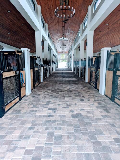 A long, well-lit stable corridor with horse stalls on either side and a stone floor.