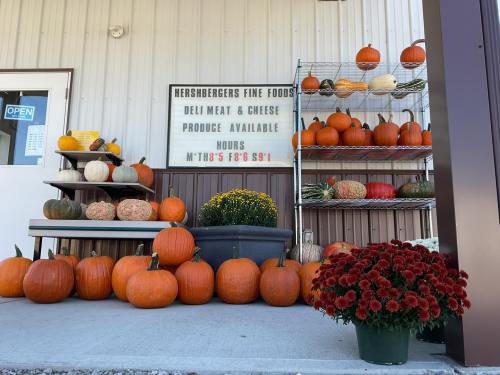 A display of pumpkins and gourds outside a store, with a sign for hours and offerings, and a pot of flowers nearby.