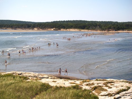 A scenic beach with people walking along the shore, gentle waves, and greenery in the background under a clear blue sky.