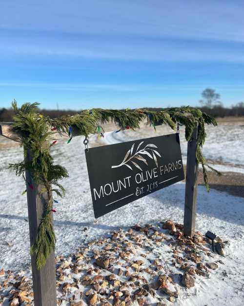 Sign for Mount Olive Farms, established 2015, decorated with greenery and lights, set against a snowy landscape.