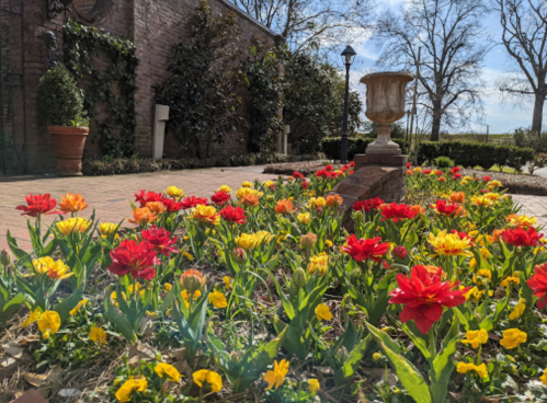 A vibrant garden with red and yellow flowers in bloom, surrounded by greenery and a brick wall in the background.