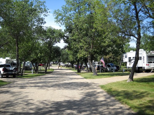 A tree-lined campground with RVs parked along a gravel path under a clear blue sky.