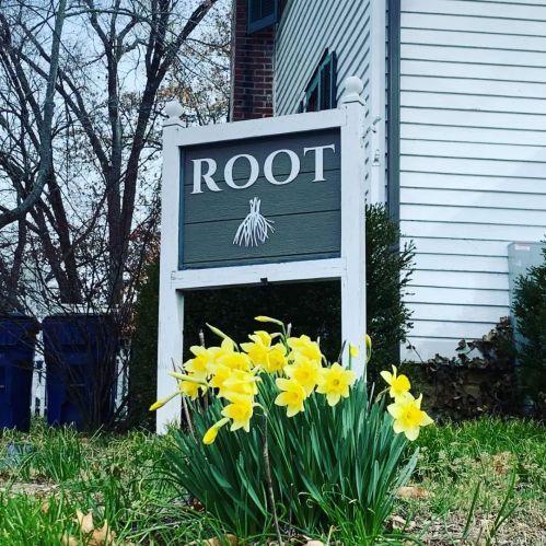A sign reading "ROOT" stands in front of a house, with yellow daffodils blooming in the foreground.