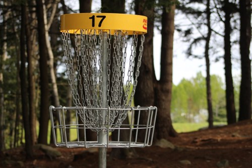 A disc golf basket marked with the number 17, surrounded by trees in a natural setting.