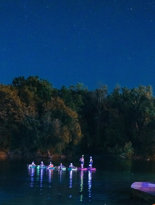 A group of people on paddleboards at night, surrounded by trees and a starry sky reflecting on the water.