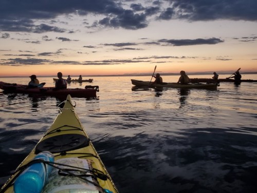A group of kayakers paddles on calm water at sunset, with colorful clouds reflecting in the sky.