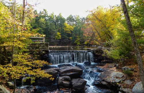 A serene waterfall cascades over rocks, surrounded by vibrant autumn foliage and a calm river in a wooded area.