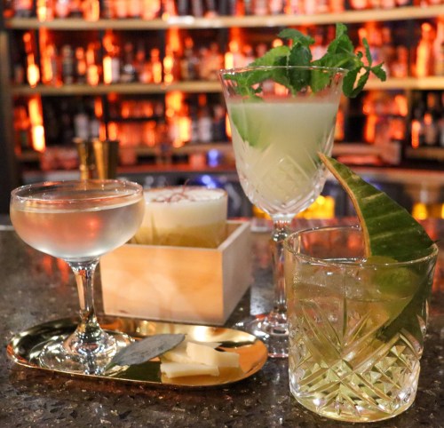 Three elegant cocktails on a bar: a martini, a minty drink in a tall glass, and a tropical drink with a leaf garnish.