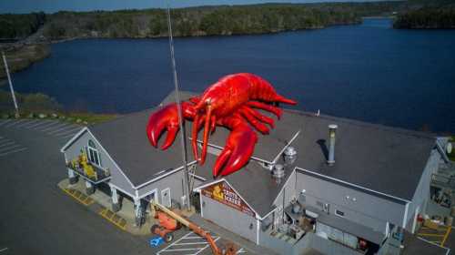 A giant red lobster hovers above a lakeside restaurant, with water and trees in the background.