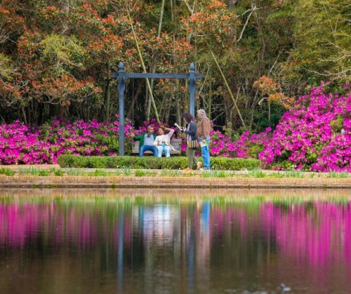 A serene garden scene with vibrant pink flowers, a pond, and people enjoying a moment by a swing.