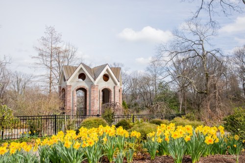 A charming brick structure surrounded by vibrant yellow daffodils and bare trees under a cloudy sky.