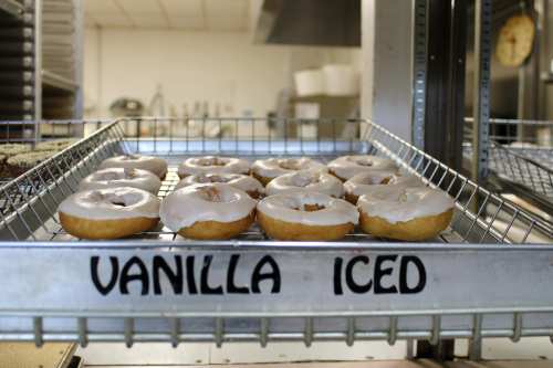 A tray of vanilla iced donuts displayed in a bakery, labeled "VANILLA ICED."