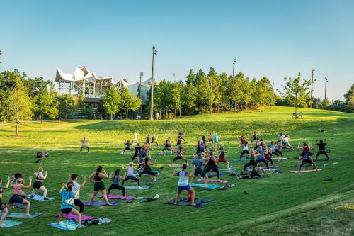 A large group of people practicing yoga on mats in a green park with trees and a modern building in the background.