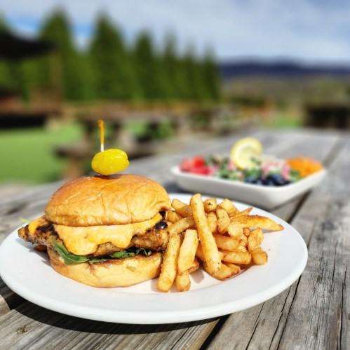 A juicy cheeseburger with a pickle on top, served with golden fries and a colorful salad on a wooden table outdoors.