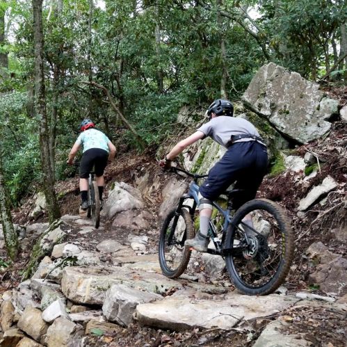 Two mountain bikers navigate a rocky trail through a wooded area.