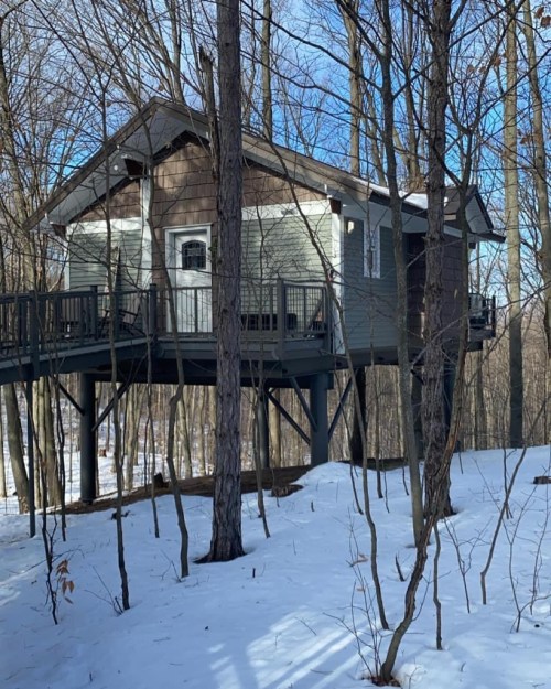 A treehouse nestled among trees, elevated on stilts, surrounded by snow and a clear blue sky.