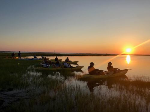 A group of kayakers paddles in calm waters at sunset, surrounded by lush greenery and a vibrant sky.