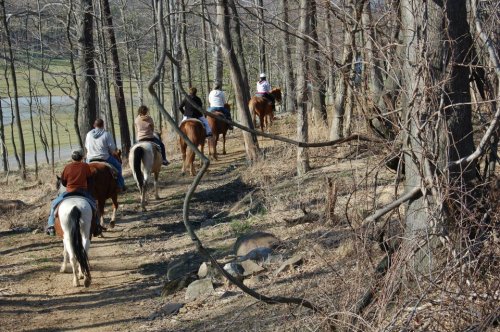 A group of people riding horses along a wooded trail, surrounded by trees and a scenic landscape.