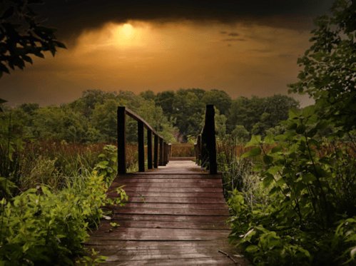 A wooden bridge leads through lush greenery towards a serene landscape under a dramatic, cloudy sky.