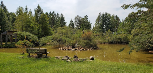 A serene landscape featuring a pond surrounded by lush greenery and a small island with trees. A bench is visible nearby.