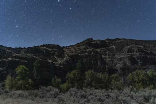 A starry night sky over rugged mountains, with trees and shrubs in the foreground.