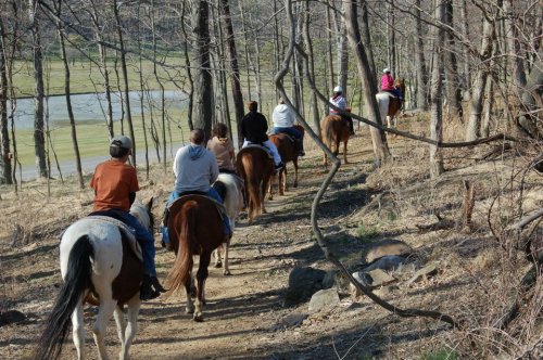 A group of people riding horses along a wooded trail, with trees and a lake visible in the background.