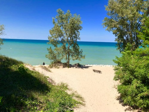 A serene beach scene with sandy shore, green trees, and calm blue water under a clear sky.