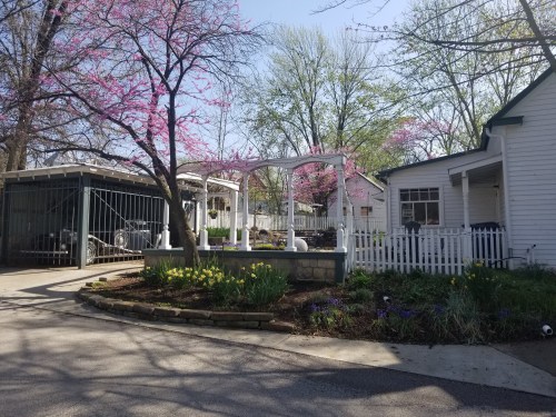A charming garden with blooming trees, a white fence, and a cozy house on a sunny day.