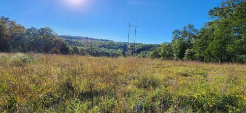 A sunny landscape featuring tall grass, trees, and power lines against a backdrop of rolling hills and a clear blue sky.