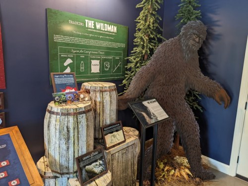 A display featuring a large, furry creature resembling Bigfoot next to barrels and informational signs about wildman sightings.