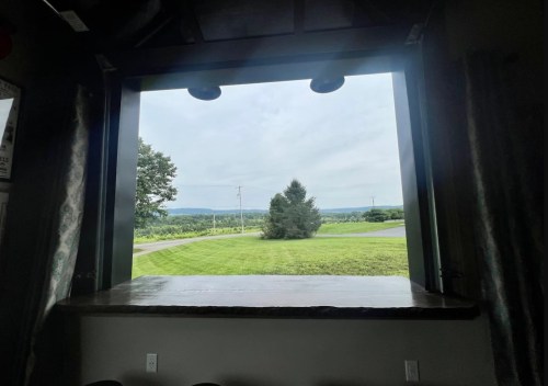 A view from a window showing a grassy landscape, trees, and a cloudy sky.