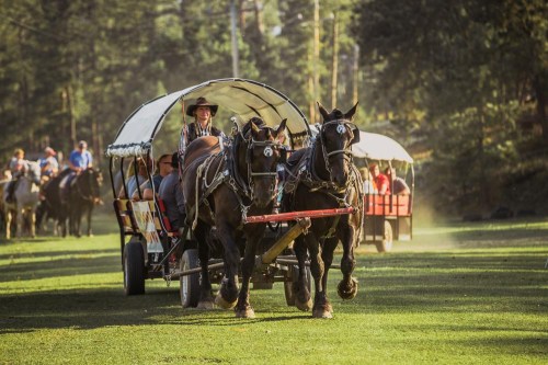 A horse-drawn wagon with passengers travels through a grassy area, surrounded by trees in a sunny setting.