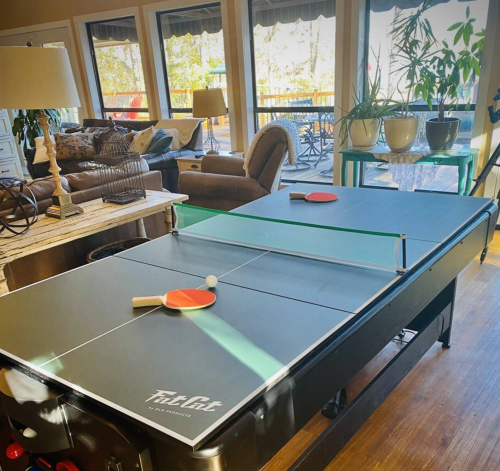 A ping pong table in a cozy living room with plants, a lamp, and a view of the outdoors through large windows.