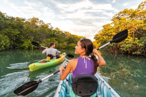 Two people kayaking through a serene mangrove area, surrounded by lush greenery and a bright sky.