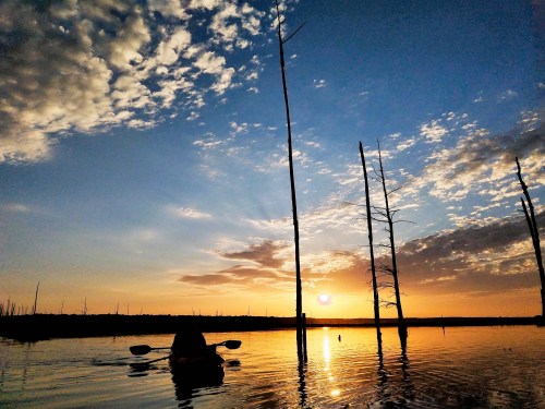 A serene sunset over a calm lake, with silhouetted trees and a lone kayaker enjoying the view.