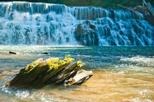 A serene waterfall cascades over rocks into a clear river, with green plants growing on a nearby stone.